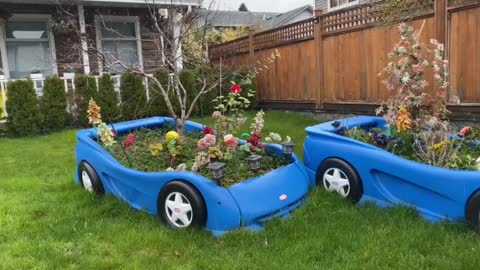 flowers in cars, cars in a yard