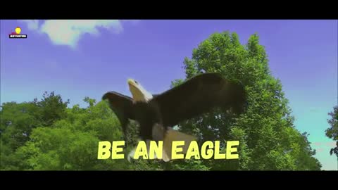 Wisdom Of Eagle on the air