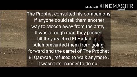 The Outsetting Of The Prophet For Umurah