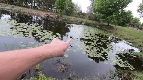 Driving a car into a pond