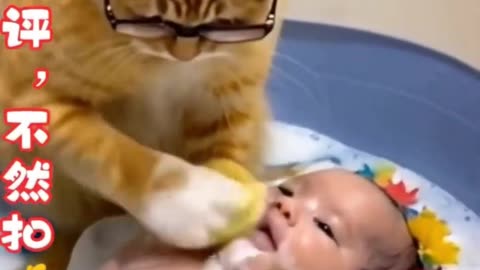 Funny cat.قطه مضحكه.