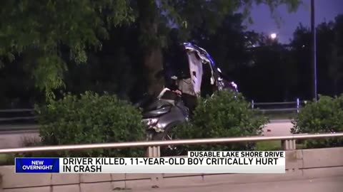 Male dead, 11-year-old critical after crashing through tree on Lake Shore Drive