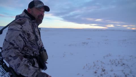 Canadian Mule Deer Hunt