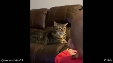 Cat gets annoyed by Baby hahaha