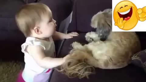 Funny adorable dogs talking to babies - dogs and babies compilation