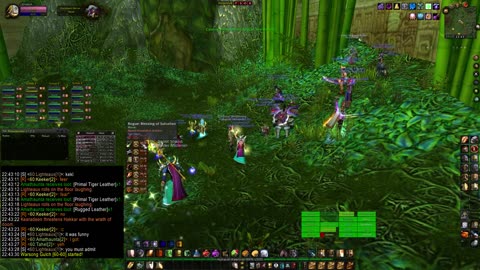 Turtle Wow - MM Weekly ZG - 24 August - paladin POV