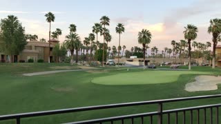 Spring Afternoon in Palm Desert