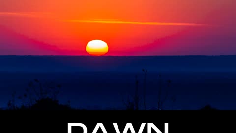 Dawn / Bryan Edwards