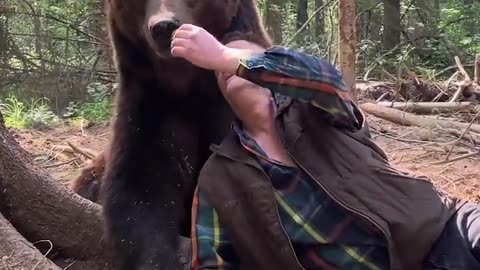 Bear Refuses To Eat Big Mac from McDonalds!