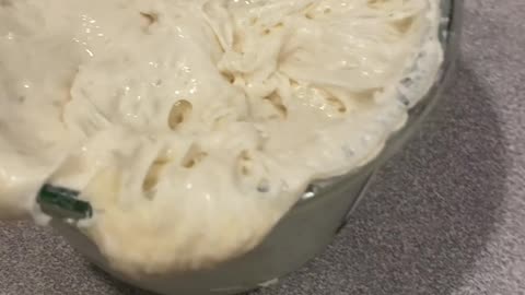 Sourdough Starter Rebellion!