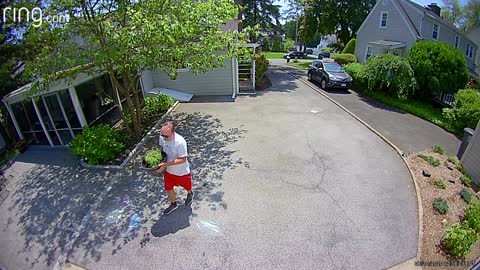 Black Bear Startles Residents Wandering Through Backyard