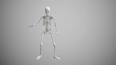 Skeleton Dance