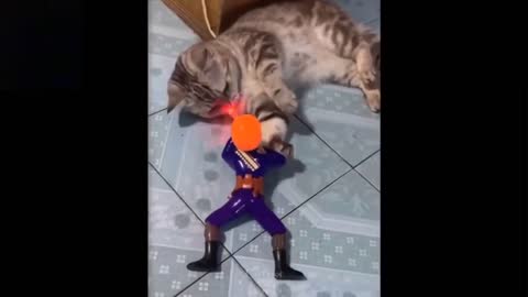 Funny Cat Vs. Toy(Soldier toy)