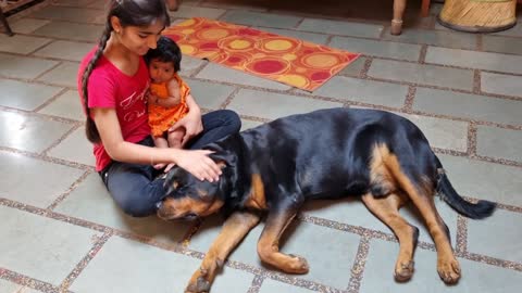 Jerry and Aaru are made for each other.Dog protecting baby