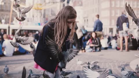 Little European girl feeds pigeons. Slow motion