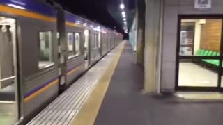 The smart cat takes the train