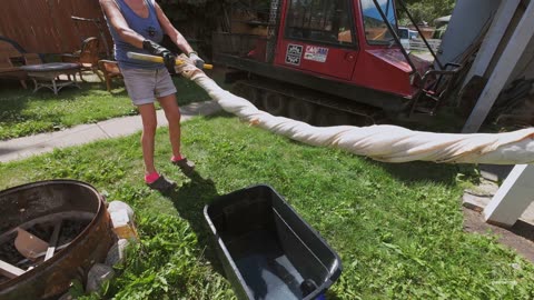 Scraping Moose Hides and Tanning - The DENE THA' WAY