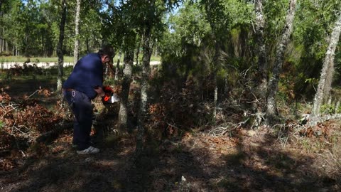 72 year old diabetic learns to chainsaw