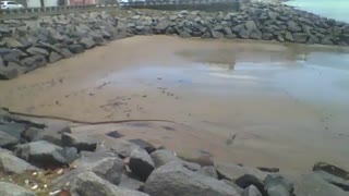 Showing the beach rocks right on the edge, there are cars on the track [Nature & Animals]