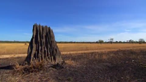 Science describes Nature's Secrets - Biomimicry