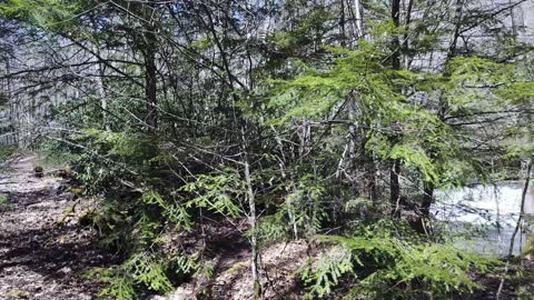 West Virginia State Parks - Camp Creek State Park - Mash Fork Falls