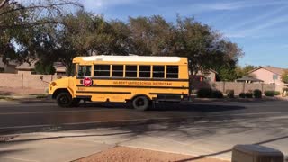 A few of Gilbert’s school buses.