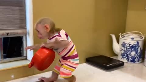 Wonderful monkey helps dad cook dumplings for puppy