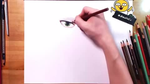 Use Colored Lead To Draw The Eyes Of The Little Fox