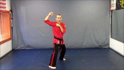 Basic Skillz Brown Belt - Green Stripe