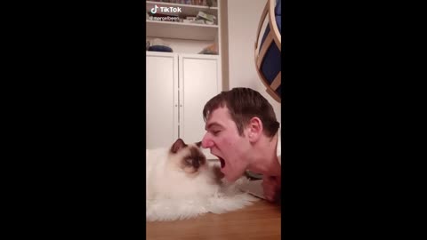 Open your mouth and see what your Cat Does ( TikTok Compilation)