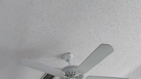 ceiling fan