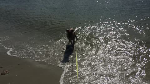 Puppy's First Time Playing in the Ocean