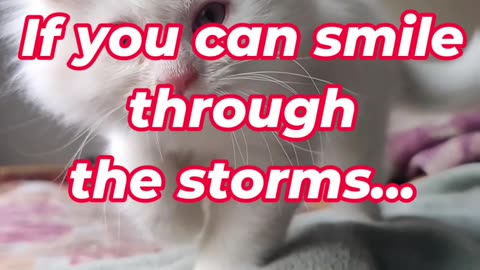 If you can smile through the storms...