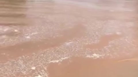 Heavy Rains Cause Intense Flooding in Outback Australia