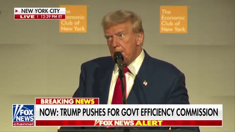 Fox News - Trump announces Elon Musk will head audit of 'entire federal government'-1