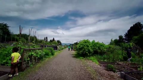 My Richmond, British Columbia Bike Run 2020