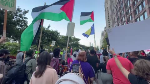 Anti-America, Pro-Palestine Protestors at the DNC