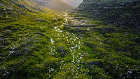 A river running through a lush green valley