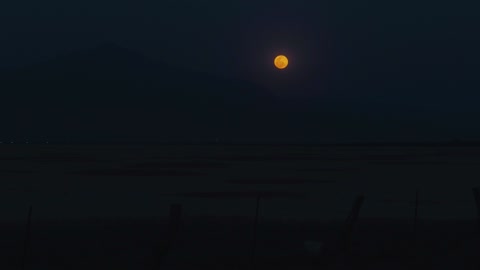 Skyline of a desert with the moon at night