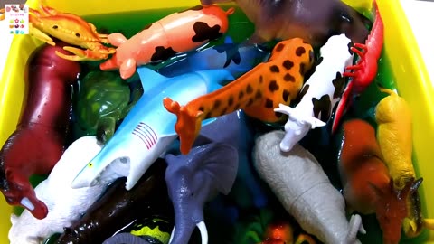 Learn sea animals ,farm animals wild zoo animals name in English