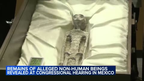 Alleged non-human presented to Mexican government