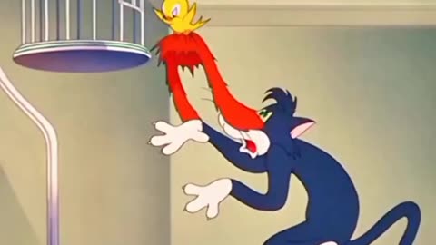 Tom and Jerry