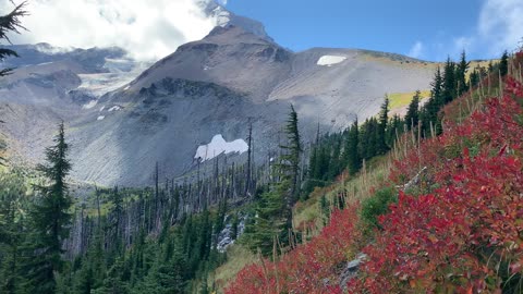 Oregon – Mount Hood – Vibrant Pristine Alpine Paradise