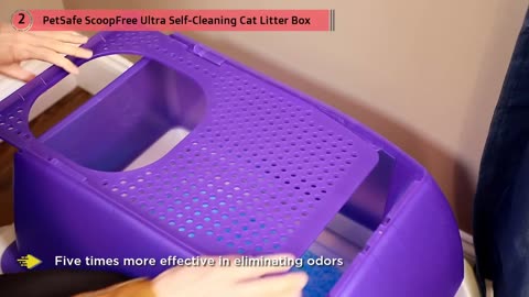 Top 5 Best Litter Boxes for you cats -Review in 2021