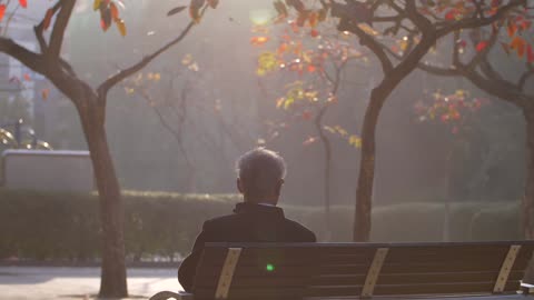 Reveal Shot Of Man Sat On Park Bench