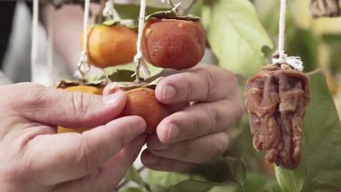 How to Make Hoshigaki - Dried Persimmons