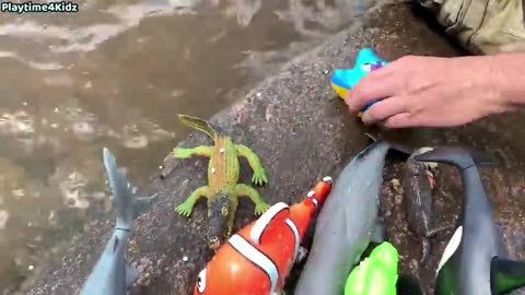 Sea Animal Toys This Summer at the Shore