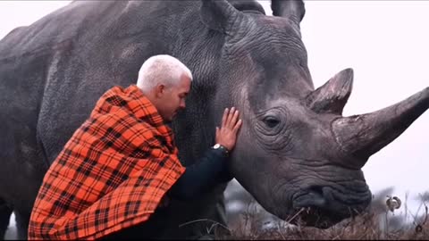 Quand les animaux aiment leurs amour est unique