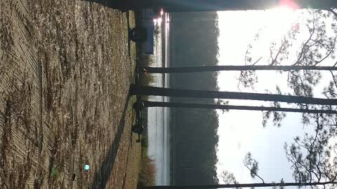 Free Camping--Hurricane Lake-Baker, FL