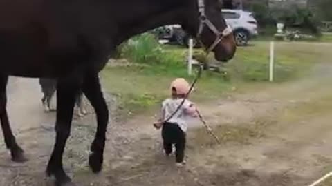 A little girl carry on Horse with walk around